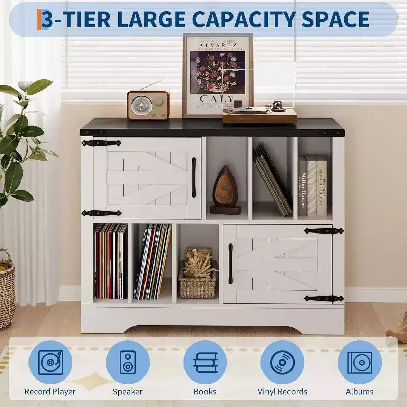 Blue/White Farmhouse Vinyl Record Cabinet with 2 Barn Doors, 1-Person